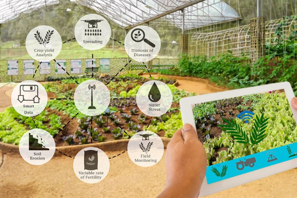 iot la gi  yeu cau ve co so ha tang de trien khai iot trong nong nghiep thong minh