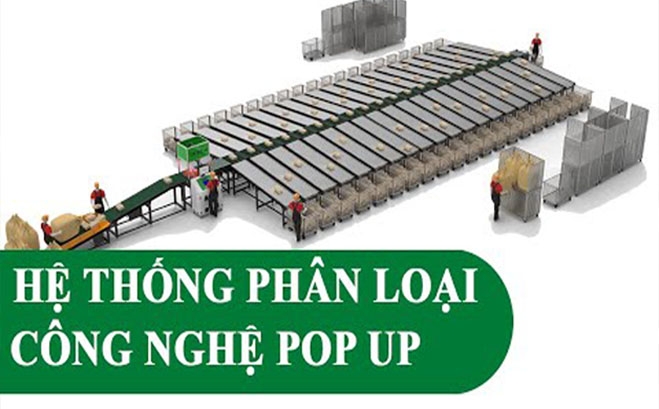 phan loai buu kien tu dong hoa cong nghe pop up sorter
