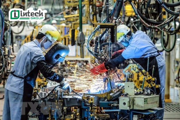 tong quan ve nganh cong nghiep phu tro tai viet nam nam 2025 ?