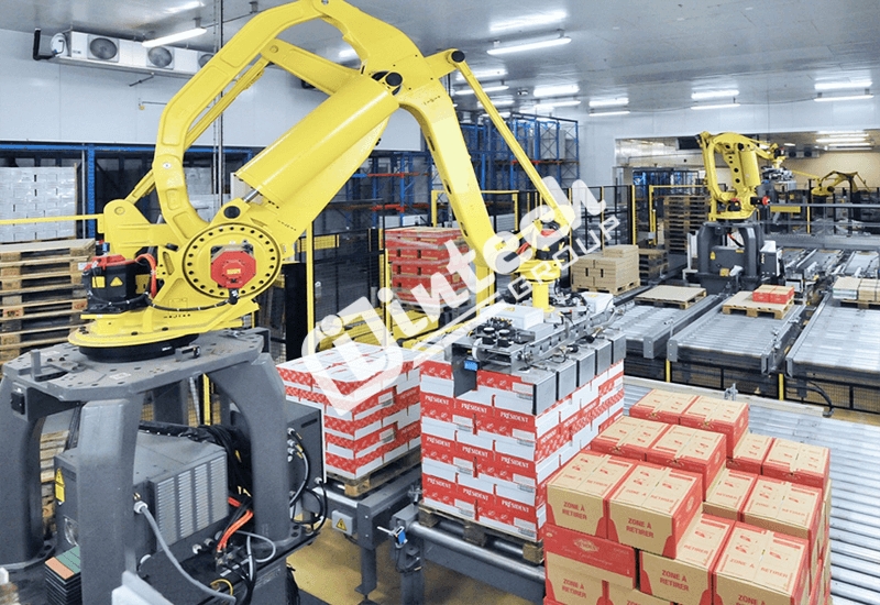 he thong robot boc xep hang len pallet tu dong it plt cr 01